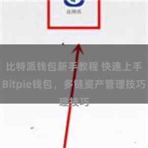 比特派钱包新手教程 快速上手Bitpie钱包，多链资产管理技巧