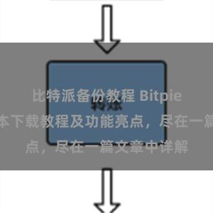 比特派备份教程 Bitpie钱包最新版本下载教程及功能亮点，尽在一篇文章中详解