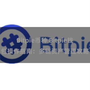 Bitpie币种 Bitpie钱包操作指南：多链资产管理攻略