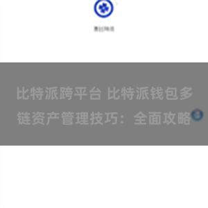 比特派跨平台 比特派钱包多链资产管理技巧：全面攻略