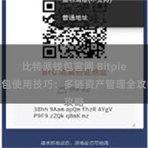 比特派钱包官网 Bitpie钱包使用技巧：多链资产管理全攻略