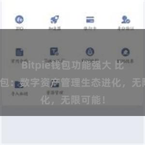 Bitpie钱包功能强大 比特派钱包：数字资产管理生态进化，无限可能！