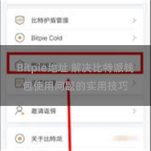 Bitpie地址 解决比特派钱包使用问题的实用技巧