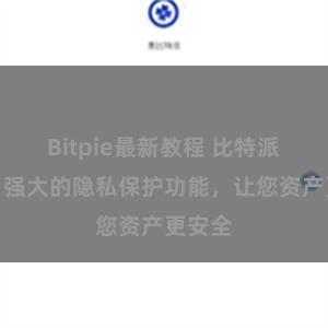 Bitpie最新教程 比特派钱包：强大的隐私保护功能，让您资产更安全