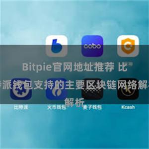 Bitpie官网地址推荐 比特派钱包支持的主要区块链网络解析