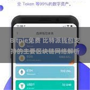 Bitpie免费 比特派钱包支持的主要区块链网络解析