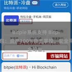 Bitpie系统支持 Bitpie钱包：资产100%自主掌控，安全可靠。