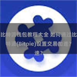 比特派钱包教程大全 如何通过比特派(Bitpie)设置交易加速？