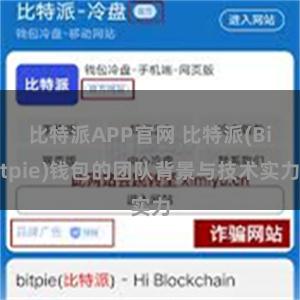 比特派APP官网 比特派(Bitpie)钱包的团队背景与技术实力