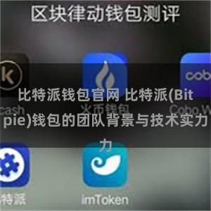 比特派钱包官网 比特派(Bitpie)钱包的团队背景与技术实力