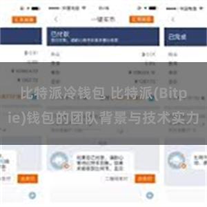 比特派冷钱包 比特派(Bitpie)钱包的团队背景与技术实力