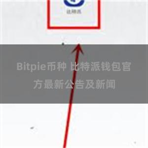 Bitpie币种 比特派钱包官方最新公告及新闻