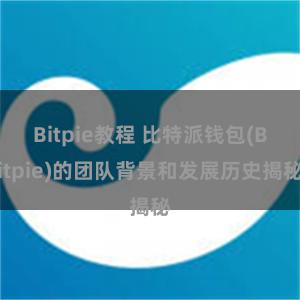 Bitpie教程 比特派钱包(Bitpie)的团队背景和发展历史揭秘