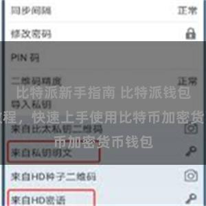 比特派新手指南 比特派钱包安装教程，快速上手使用比特币加密货币钱包