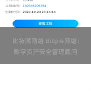 比特派网络 Bitpie网络：数字资产安全管理顾问