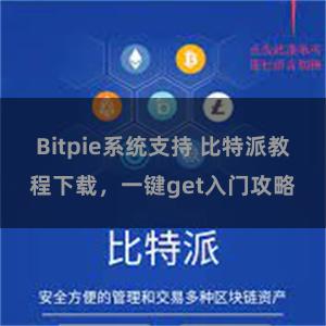 Bitpie系统支持 比特派教程下载，一键get入门攻略