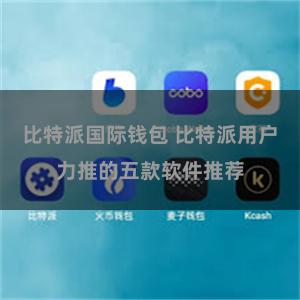 比特派国际钱包 比特派用户力推的五款软件推荐