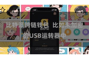 比特派跨链钱包  比如未加密的USB运转器中