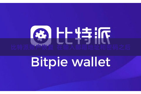 比特派账户恢复  在输入邮箱地址和密码之后
