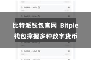 比特派钱包官网  Bitpie钱包撑握多种数字货币
