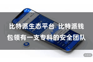 比特派生态平台  比特派钱包领有一支专科的安全团队