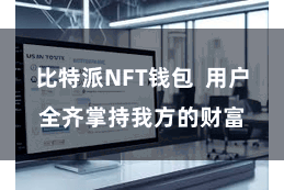 比特派NFT钱包  用户全齐掌持我方的财富